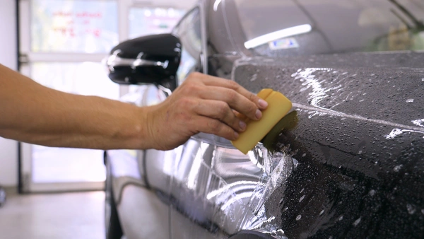 Paint protection file applied to vehicle bodywork