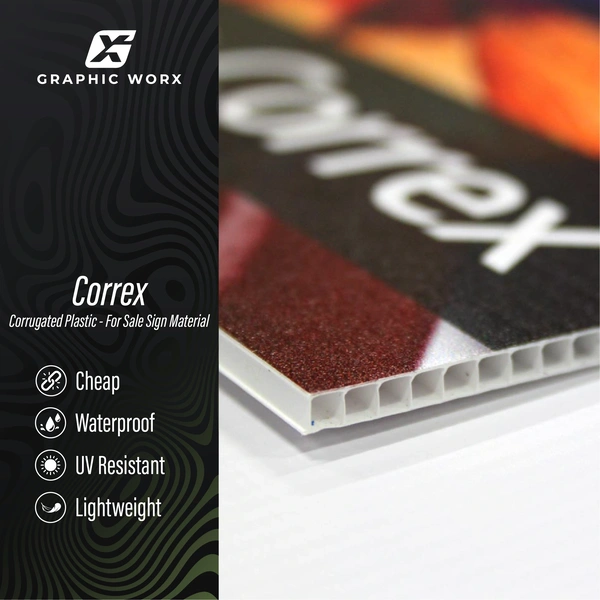  Correx
